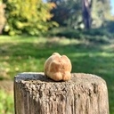 Deux petits félins en bois !