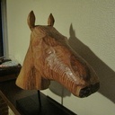 Tête de cheval