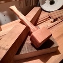 Propagation du virus du maillet