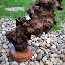 Juste parce que c'est beau