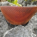 Petit bol en acajou d'Afrique