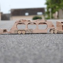 Camion et voitures de NASCAR