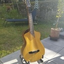 Première guitare