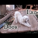 On a retrouvé "Lejeune" fils de Sanglier !...