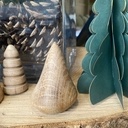 Pas à pas de Roger Vuillermoz