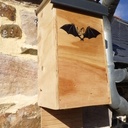 Nichoir à chauve-souris grand modèle