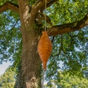 Hommage à la nature