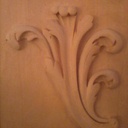 Acanthe en lumière artificielle