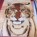 Concours du meilleur apprenti de France marqueterie