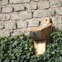 Abri pour mésanges impatientes