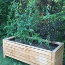 Bac à plantes - légumes