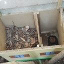 La maison de Georges