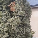 Nichoir pour mésange