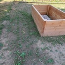 Carré potager