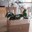 Boîte à huiles essentielles