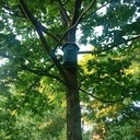 Nichoir à mésanges Ciment et bois