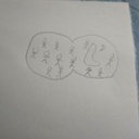 Dessin non contractuel