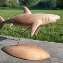 Requin sculpté
