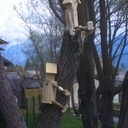 Cabane oiseau bonhomme