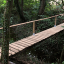 Petit Pont de bois