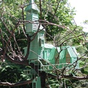 Rêve de chateau dans l'arbre