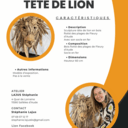 Exposition d'artisanat d'art