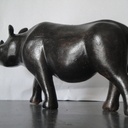 Rhinocéros