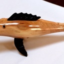 Un petit poisson tournage