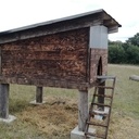 Poulailler rustique