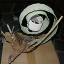 Lampe en bois flotté