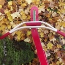 Draisienne d'automne