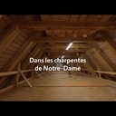 Visite dans la charpente de N.D. de Paris