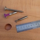 Tableau nature Acajou