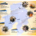 Participation aux journées européennes des métiers d'arts - Province de Namur