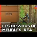 Ikea, le seigneur des forêts...