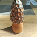 Une "petite" morille