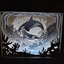 Light box animaux marins.