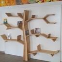 Bibliothèque : Arbre à livres