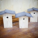 Un nichoir en bois pour les oiseaux