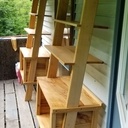 Bibliothèques à partir d'un érable abattu.