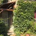 Le auvent de l'entrée à la campagne .