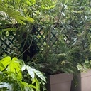 Recherche bonne volonté sur Courbevoie (92)