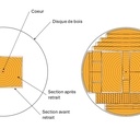 Nomenclature 2D