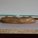 Dessous de plat sauvage