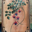 Des fuchsias pour la fête des mères