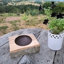 Recherche de la brutitude