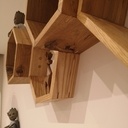 Étagères hexagonale