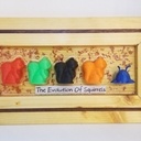 The Evolution of Squirrels