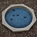 Une partie de Yam's ?