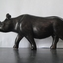 Rhinocéros